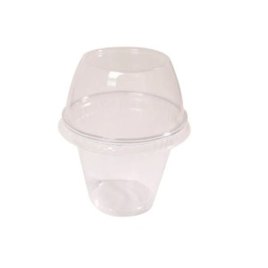 G677 SF- PC.C/25UN - POTE C/TAMPA BOLHA 250ML